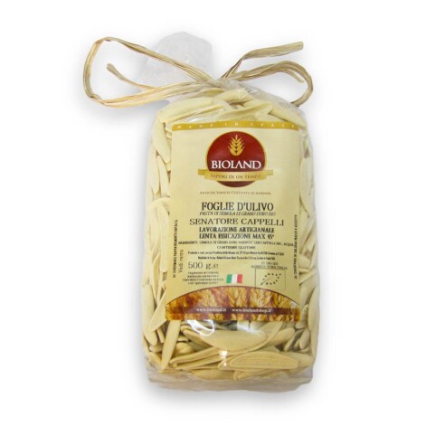 Olive leaves Senatore Cappelli