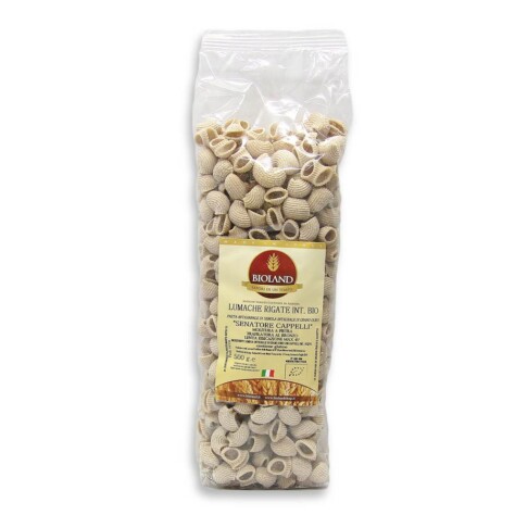 Snails Striped Durum Wheat Senatore Cappelli