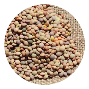 Lenticchie Biologiche
