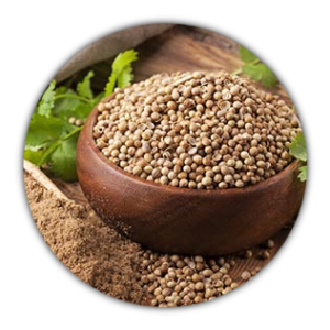 Coriandolo Biologico