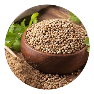 Coriandolo Biologico